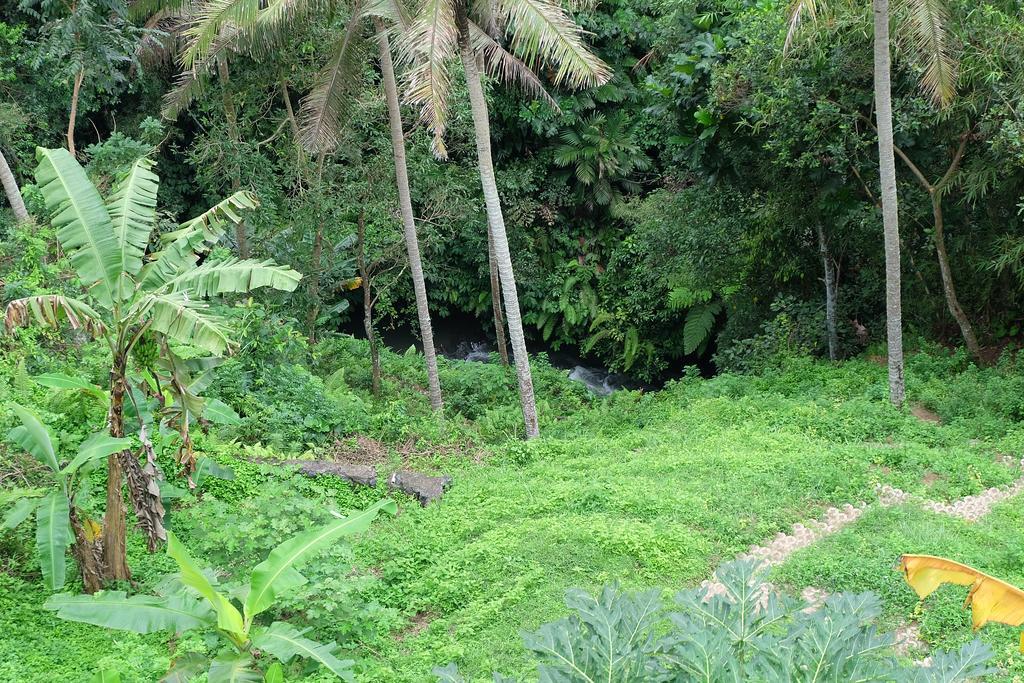 Tirta Asri Ubud Villa Bagian luar foto