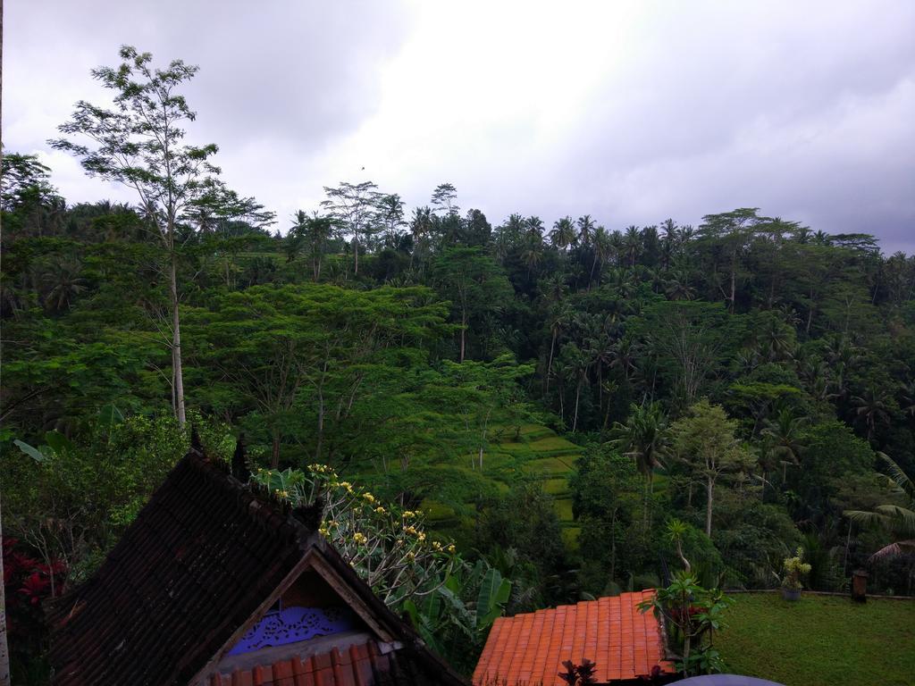 Tirta Asri Ubud Villa Bagian luar foto