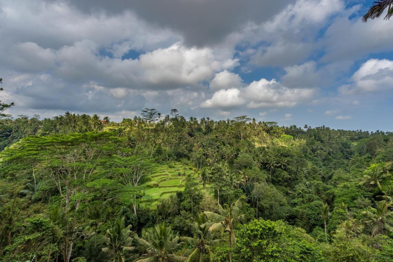 Tirta Asri Ubud Villa Bagian luar foto