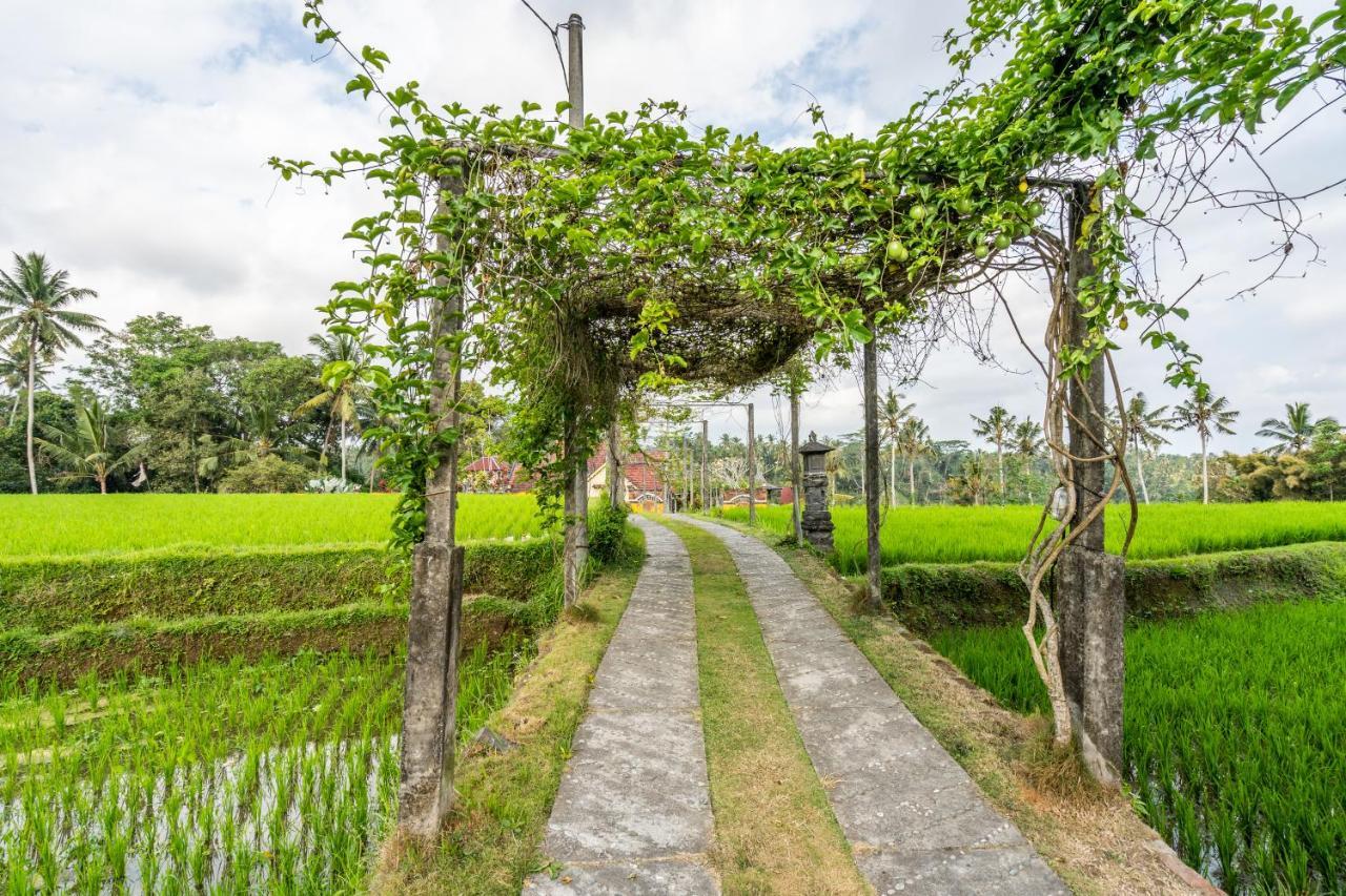 Tirta Asri Ubud Villa Bagian luar foto