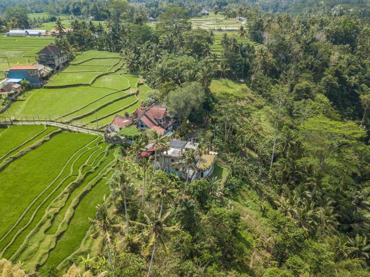 Tirta Asri Ubud Villa Bagian luar foto